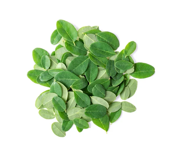Moringa leaves on white background. top view — Stock Photo, Image