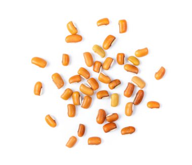 Beyaz üzerine izole edilmiş sarı fasulyeler. en üstteki görünüm