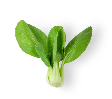 Bok choy sebzesi beyaz arka planda izole edilmiş. en üstteki görünüm
