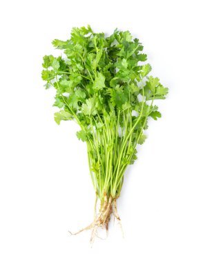 Kişniş beyaz arka planda izole edilmiş. en üstteki görünüm