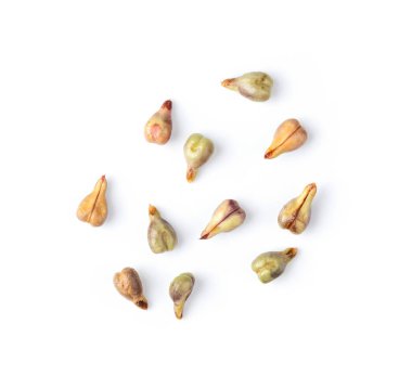 Üzüm tohumu beyaz arka planda izole edilmiş. Üst görünüm