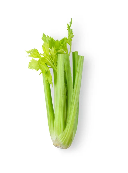 Celer izolovaný na bílém pozadí. pohled shora — Stock fotografie