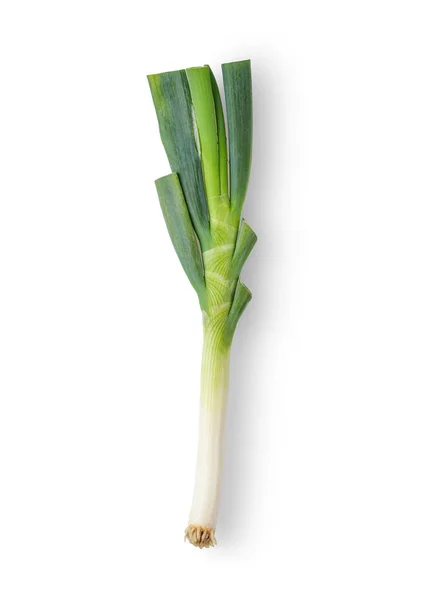 Green Japanese Bunching Onion di White Background. tampilan atas — Stok Foto