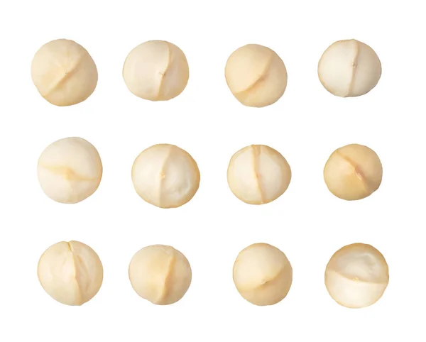 Macadamia noot geïsoleerd op witte achtergrond. bovenaanzicht — Stockfoto