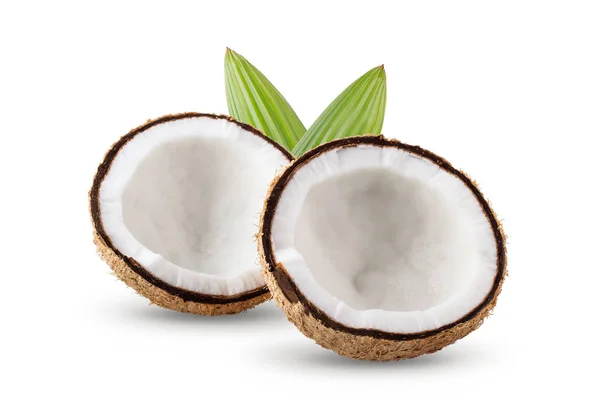 코코넛 절반와 — 스톡 사진