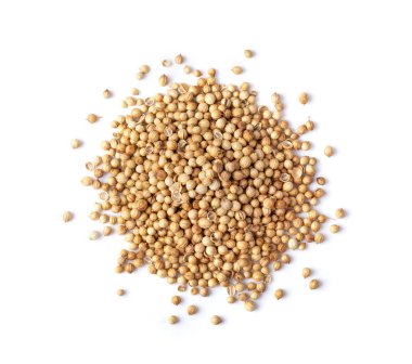 Coriander seeds isolated on white background. top view clipart