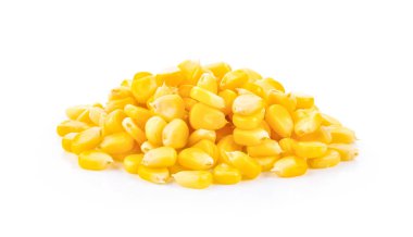 Beyaz arka planda izole mısır tohumları. tam alan derinliği