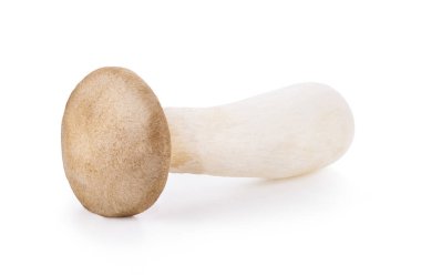 Kral istiridye mantarı Pleurotus eryngii beyaz arka planda izole edildi. tam alan derinliği