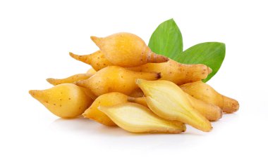 Parmak kökü (Krachai) Beyaz arka planda yaprak izole Tayland bitkisi. tam alan derinliği