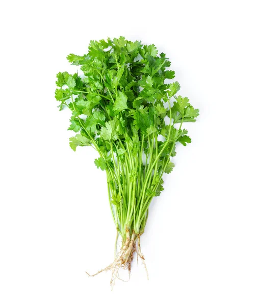 Green Coriander Leaves Close Isolation White Background Top View — Stock Photo, Image