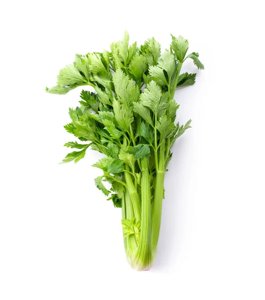 新鲜芹菜 背景为白色 顶部视图 — 图库照片