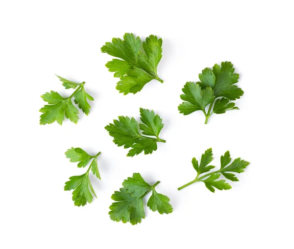 Parsley Isolated White Background Top View — Stock Photo, Image