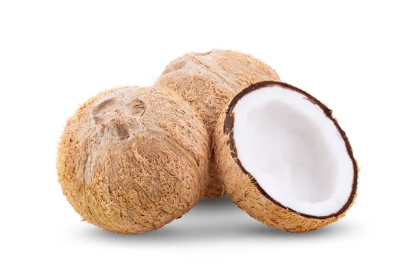 Kokosnuss Isoliert Auf Weißem Hintergrund Volle Schärfentiefe — Stockfoto