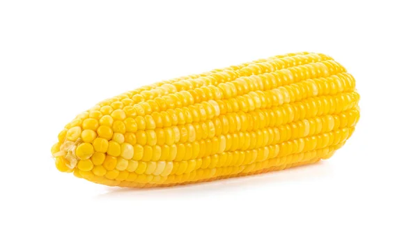 Corn White Background Full Depth Field — Stock Photo, Image