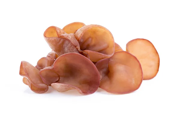 Jew Ear Wood Ear Jelly Ear Isolated White Background Full — Stock Photo, Image