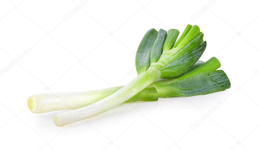 Green Japanese Bunching Onion on White Background. full depth of field