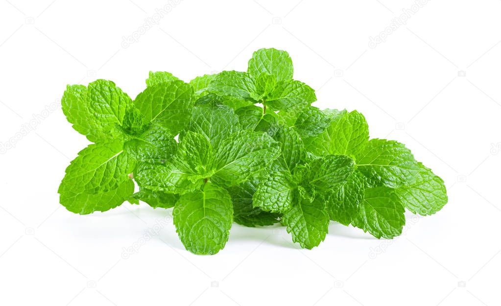 Mint leaves isolated on white background. full depth of field