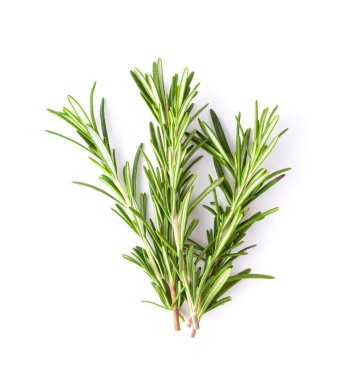 Biberiye beyaz arkaplanda izole edildi, Üst görünüm.