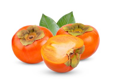 Beyaz arka planda yaprak izole edilmiş taze hurma ağaçları. tam alan derinliği