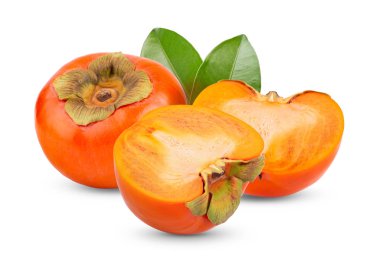 Beyaz arka planda yaprak izole edilmiş taze hurma ağaçları. tam alan derinliği