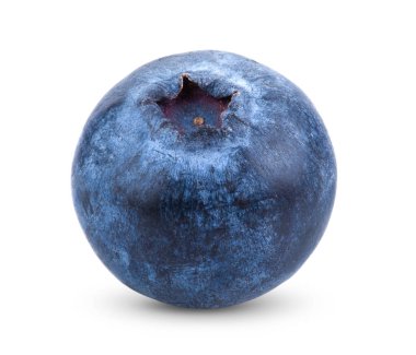 Beyaz arka planda izole edilmiş taze yaban mersini. tam alan derinliği