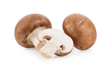 Beyaz arka planda izole edilmiş taze şampiyon mantarları. tam alan derinliği