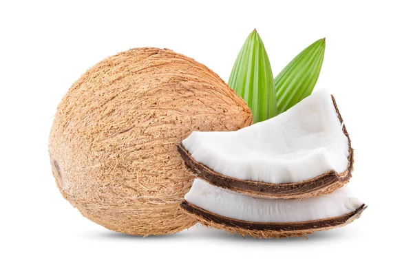 Kokosnuss Mit Blatt Isoliert Auf Weißem Hintergrund Volle Schärfentiefe — Stockfoto