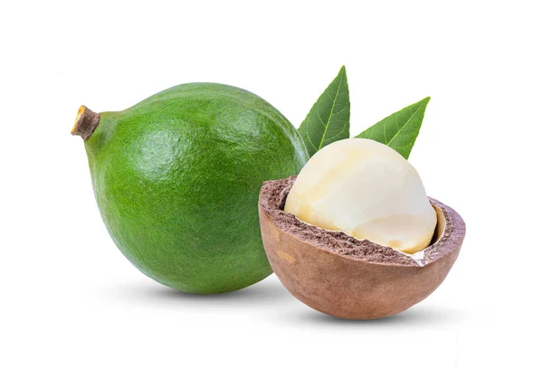 Nueces Macadamia Con Hoja Aislada Sobre Fondo Blanco Profundidad Total — Foto de Stock