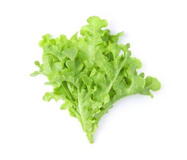 Beyaz arka planda marul yaprağı izole. en üstteki görünüm