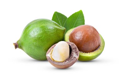 Beyaz arka planda yaprağı olan Macadamia fındıkları. tam alan derinliği