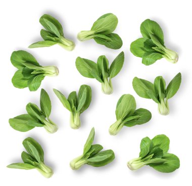 Bok choy sebzesi beyaz arka planda izole edilmiş. en üstteki görünüm