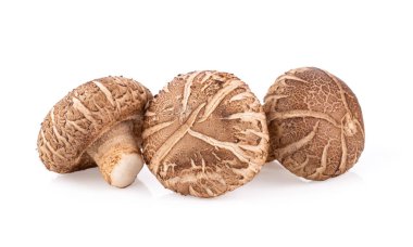 Beyaz arkaplanda Shitake Mantarı tam derinlikte