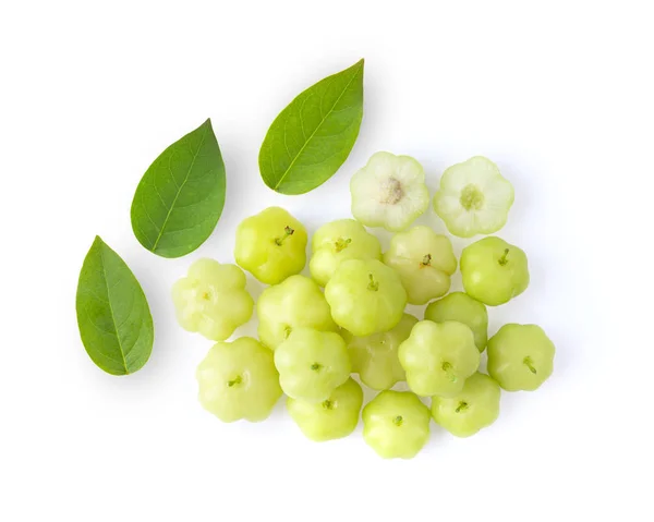 Star Gooseberry Leaf Isolated White Background Top View — Stock Photo, Image