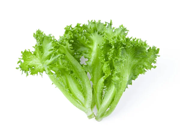 Green Frillies Iceberg Lettuce Isolated White Background Top View — Stock Photo, Image