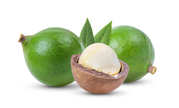 Macadamia Nüsse Mit Isoliertem Blatt Auf Weißem Hintergrund Volle Schärfentiefe — Stockfoto