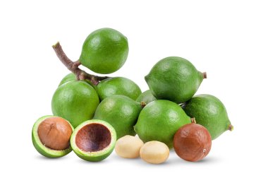 Beyaz arka planda yalıtılmış Macadamia fındıkları. tam alan derinliği