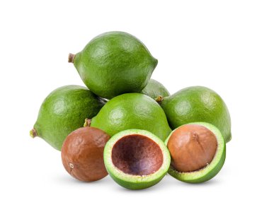 Beyaz arka planda yalıtılmış Macadamia fındıkları. tam alan derinliği