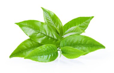 Beyaz arkaplanda yeşil çay yaprağı izole