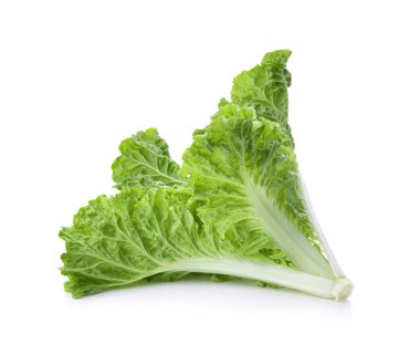 Beyaz arka planda izole edilmiş taze marul yaprakları.