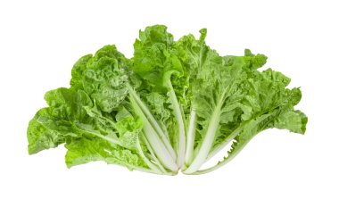 Marul yaprakları beyaz arkaplanda yalıtılmış