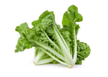 Marul yaprakları beyaz arkaplanda yalıtılmış