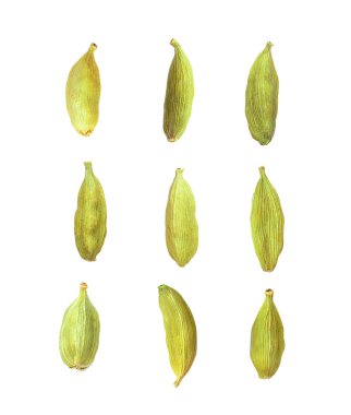 Kakule beyaz arkaplanda izole