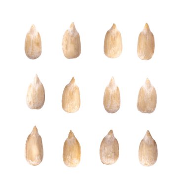 Soyulmuş ayçiçeği tohumları beyaz arka planda izole edilmiş. Üst görünüm 