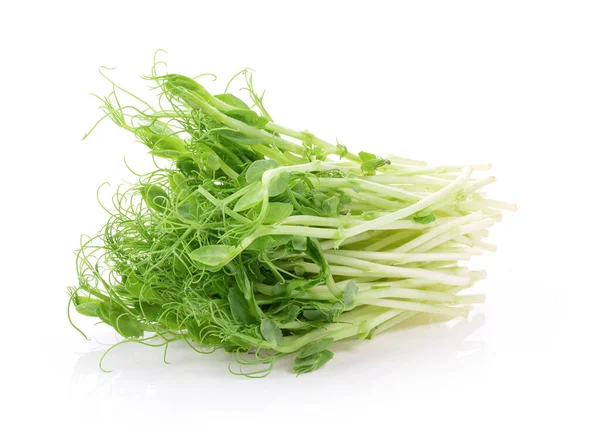 Snow Pea Sprouts Isolated White Background — Stock Photo, Image