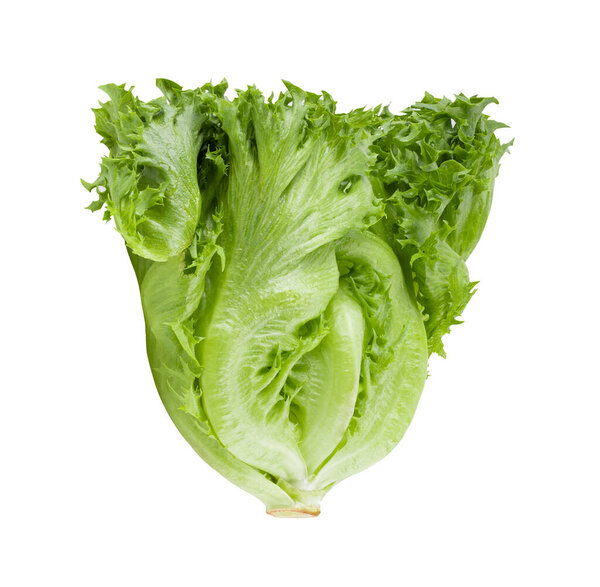 green frillies iceberg lettuce isolated on white background
