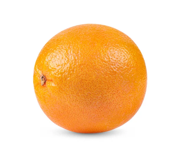 greyfurt beyaz arkaplanda izole