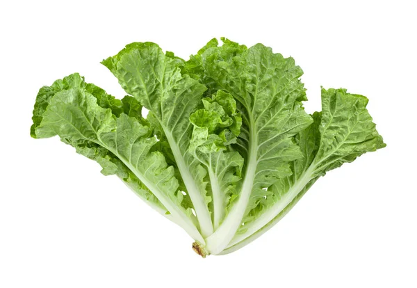 Marul yaprakları beyaz arkaplanda yalıtılmış