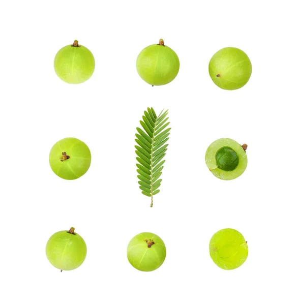 indian-gooseberry-stock-photos-royalty-free-indian-gooseberry-images-depositphotos