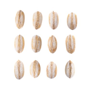 Beyaz arka planda tahıl arpası. en üstteki görünüm