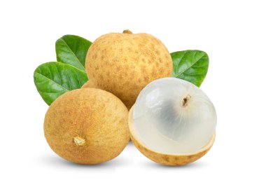 Beyaz arkaplanda yaprağı olan Longan